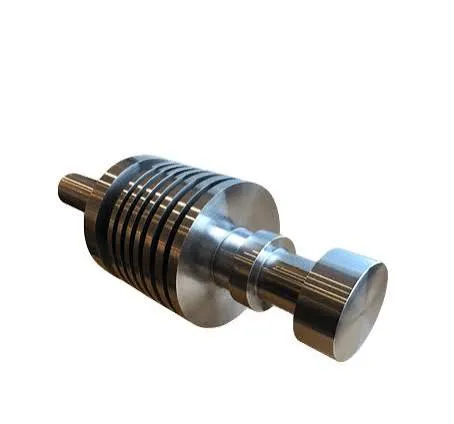 Shaft and Rotor